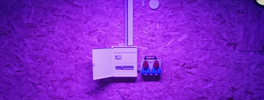 Cannabis Social Club TEUTO in Gründung 1 Aufbau