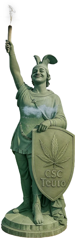 Hermi CSC Teuto Hermi CSC Teuto