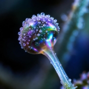 csc-teuto-slider csc teuto slider