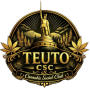 CSC Teuto e.V.